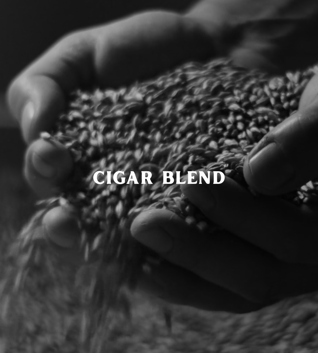 CIGAR BLEND